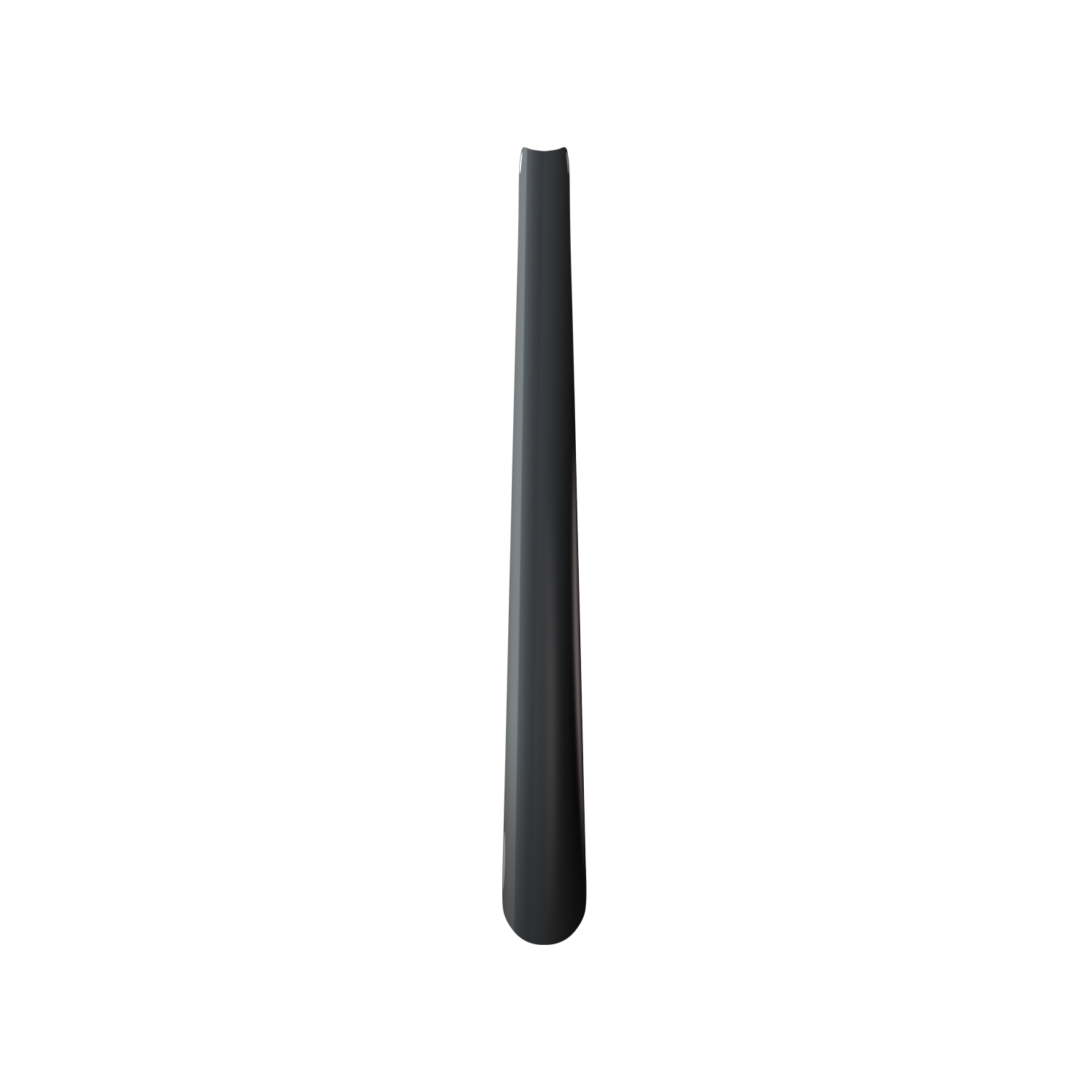 Large Shoehorn