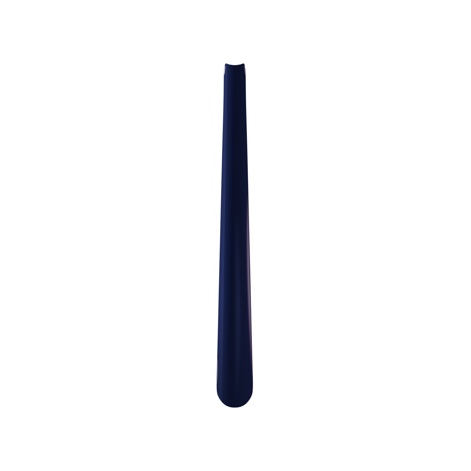 Large Shoehorn